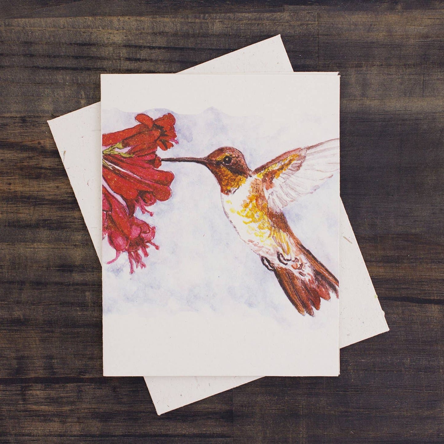 Hummingbird Greeting Card - Watercolor Sketch