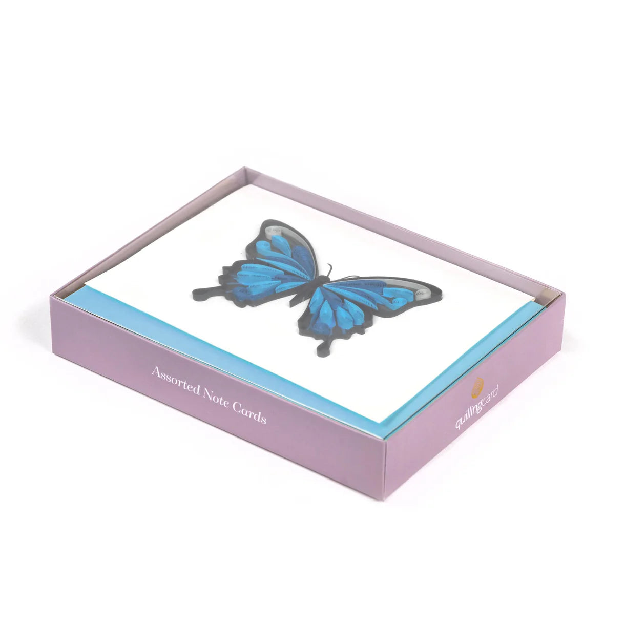 Butterflies Note Card Set of 6