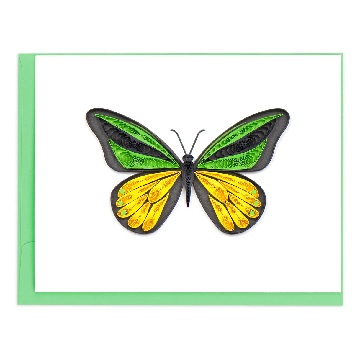 Butterflies Note Card Set of 6
